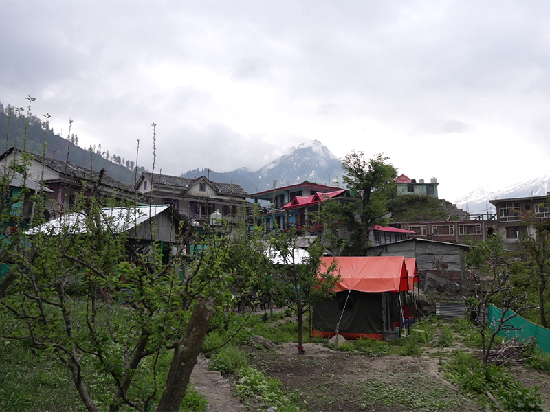 Tosh Village 